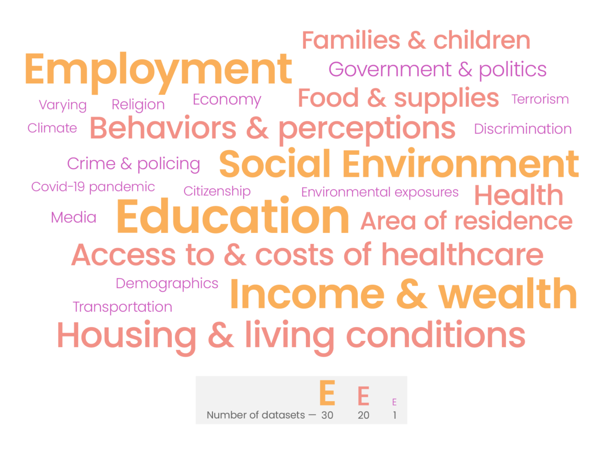 A word cloud showing the large number of terms used when collecting social determinants of health data. Size of word relates to most used.